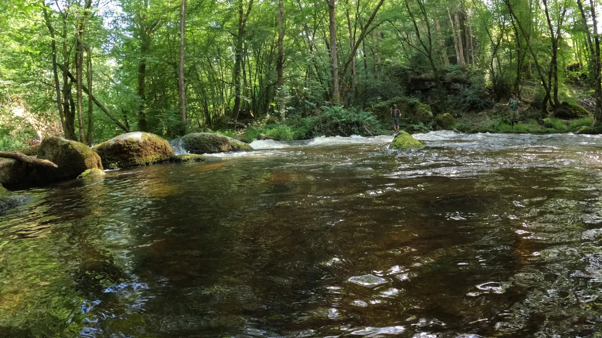 Le Chalaux entre des rochers et des berges boisées dans le Morvan.
