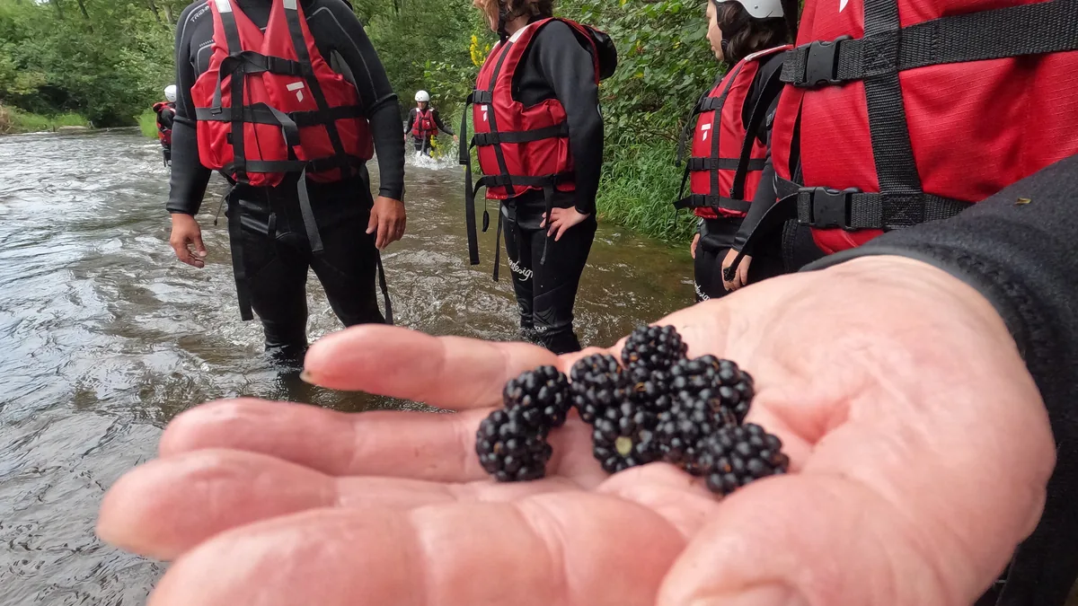 Mûres dans une main au premier plan, avec des participants en équipement de rafting dans le Chalaux, dans le Morvan.