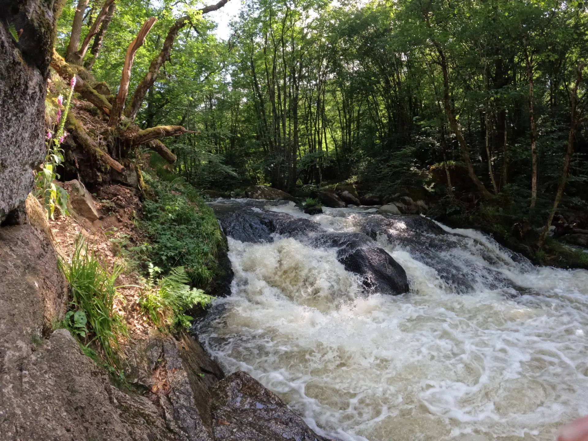 Rapides du Chalaux dévalant entre les rochers et les berges boisées du Morvan.